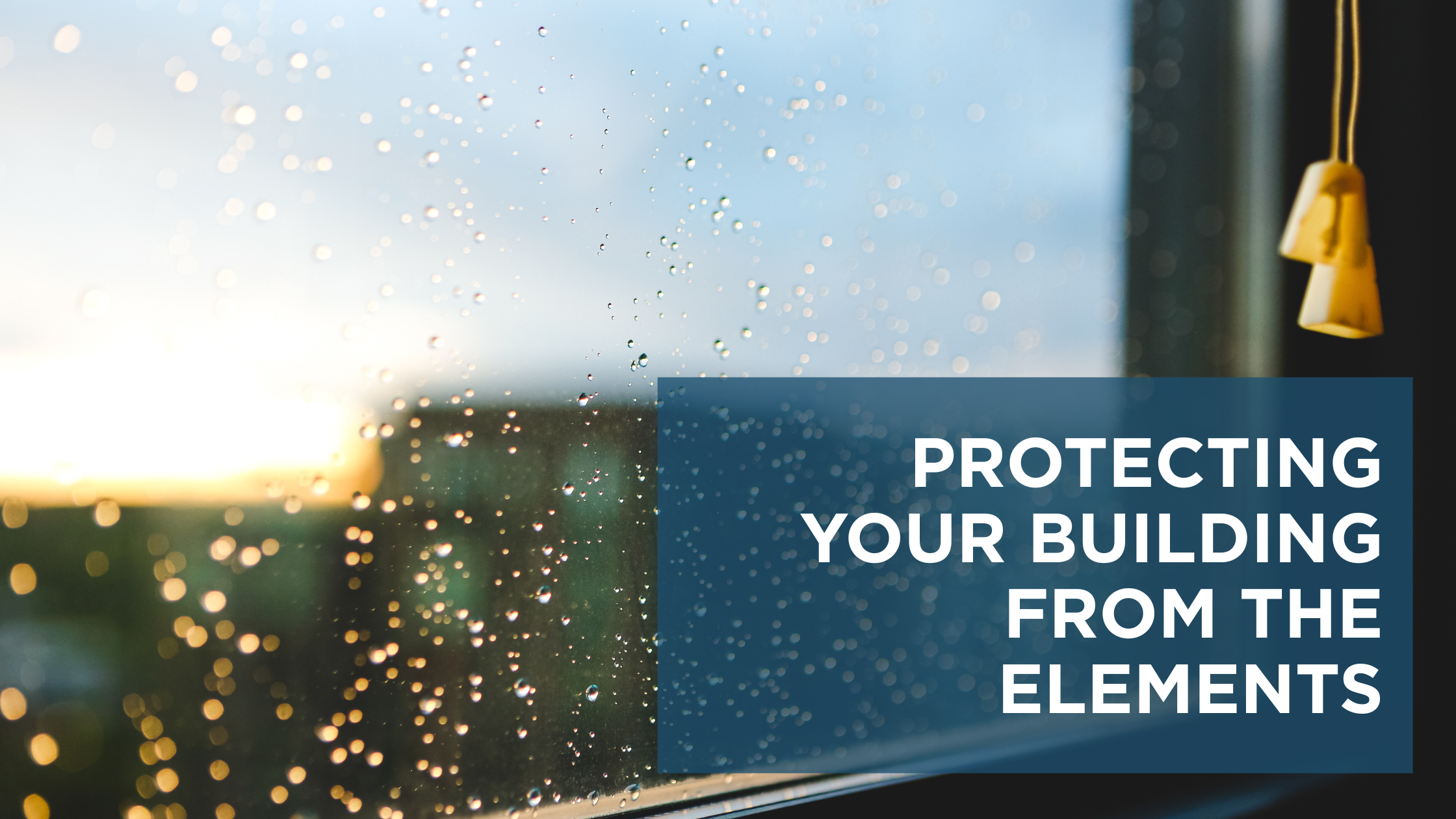 Protecting Your Building from the Elements: Waterproofing Services by City Wide