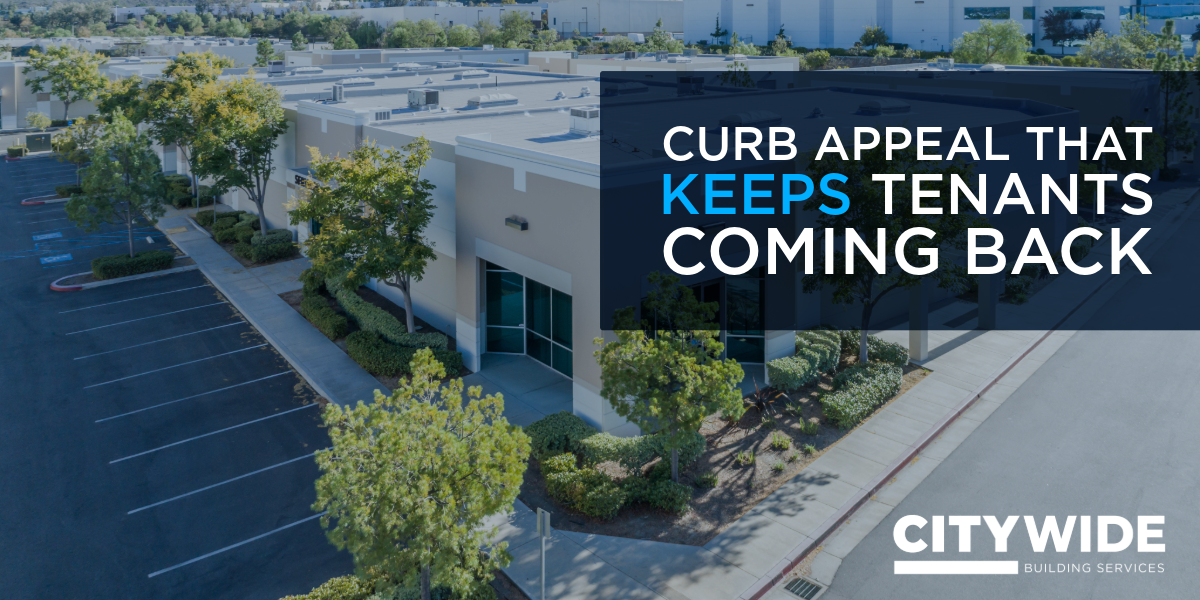 Maximizing Curb Appeal: Why Exterior Maintenance Matters for Tenant Retention