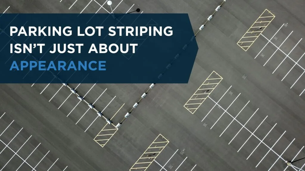 Parking lot striping with clearly marked commercial parking spaces