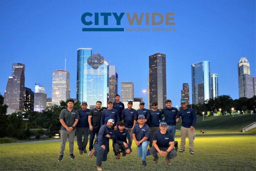Houston Team
