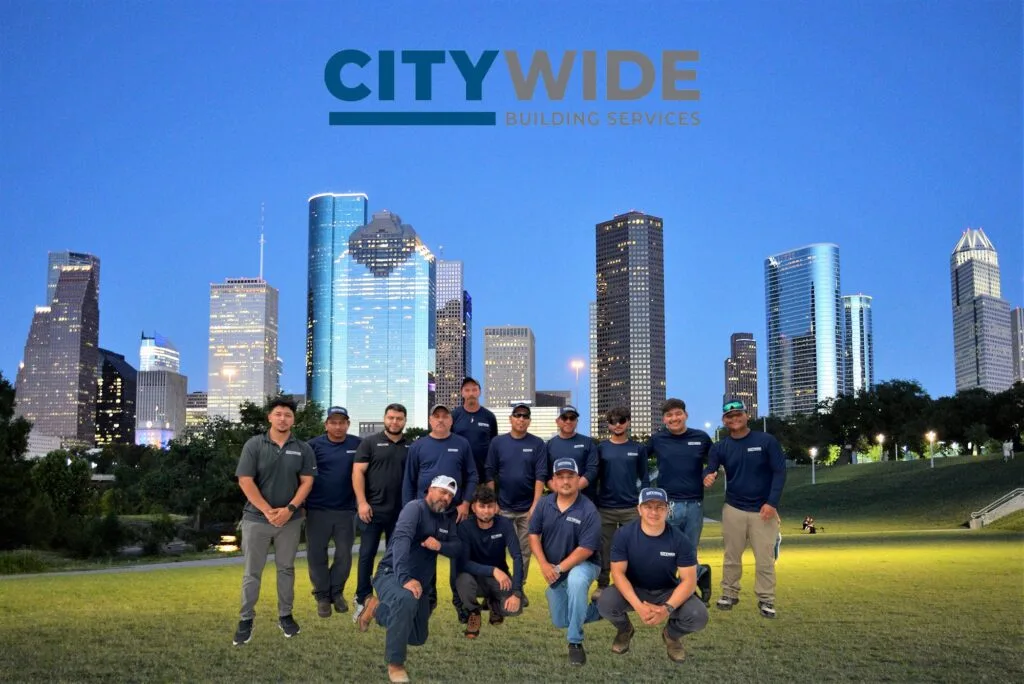 Houston Team