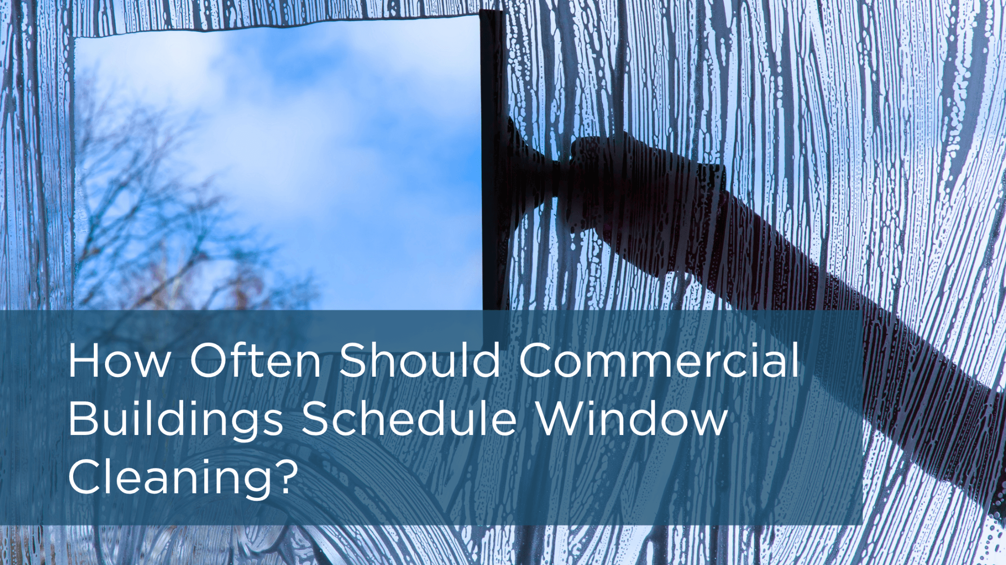 How Often Should Commercial Buildings Schedule Window Cleaning?